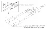 Forcella anteriore I