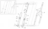 Forcella