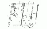 Forcella anteriore