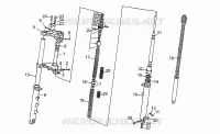 Forcella anteriore