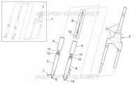 Forcella