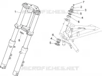 Forcella anteriore I