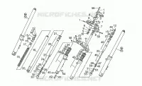 Forcella anteriore