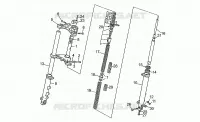 Forcella anteriore
