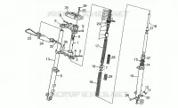 Forcella anteriore