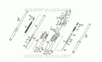 Forcella anteriore