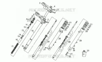 Forcella anteriore