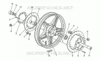 Ruota anteriore