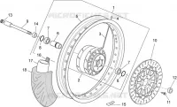 Ruota anteriore