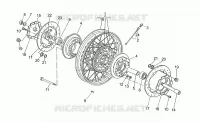 Ruota anteriore