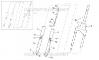 Forcella