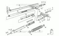 Forcella anteriore
