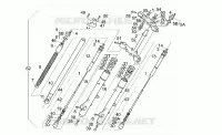 Forcella ant.>KM112000