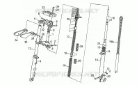 Forcella anteriore