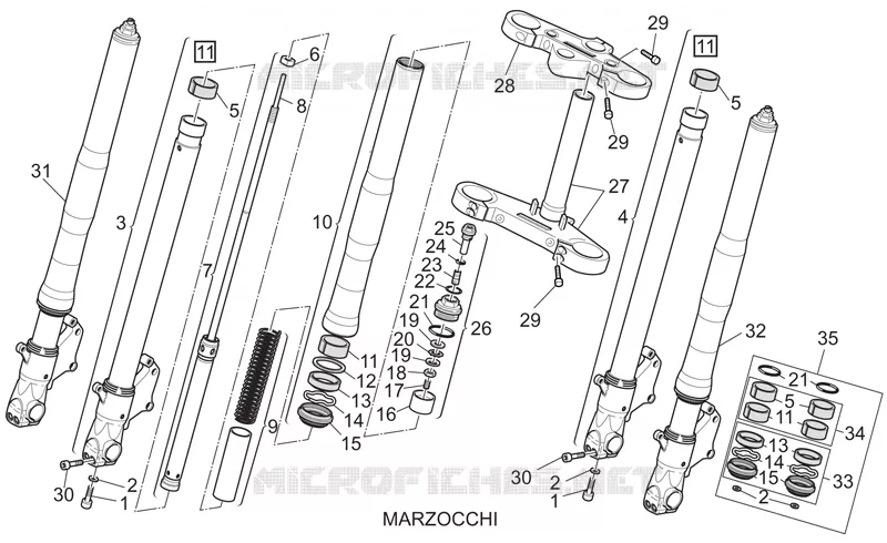 Forcella anteriore II