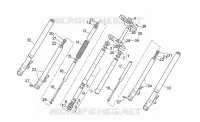 Forcella anteriore