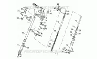 Forcella anteriore