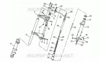Forcella anteriore