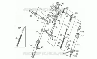 Forcella anteriore