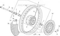 Ruota anteriore
