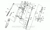 Forcella anteriore