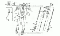 Forcella anteriore