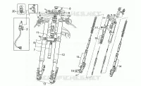Forcella anteriore