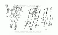 Forcella anteriore