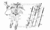 Forcella anteriore