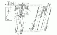 Forcella anteriore