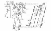 Forcella anteriore