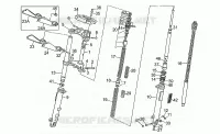 Forcella anteriore