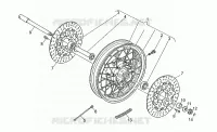 Ruota anteriore