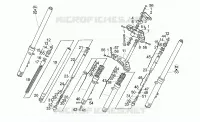 Forcella ant.<KD131644