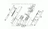 Forcella ant.KD131645>