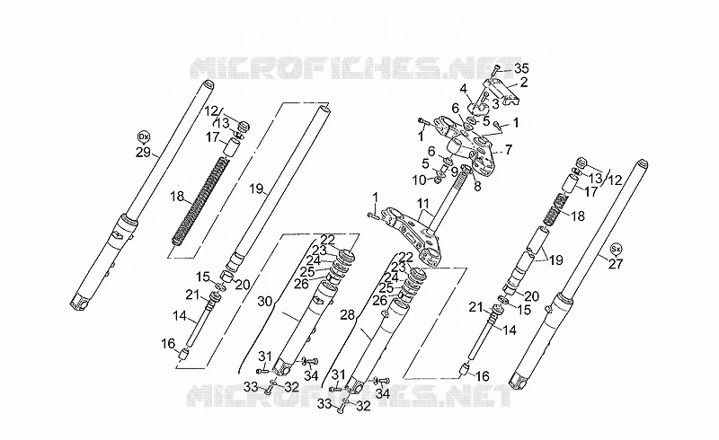 Forcella ant.KD131645>