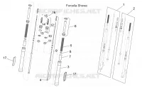 Forcella anteriore