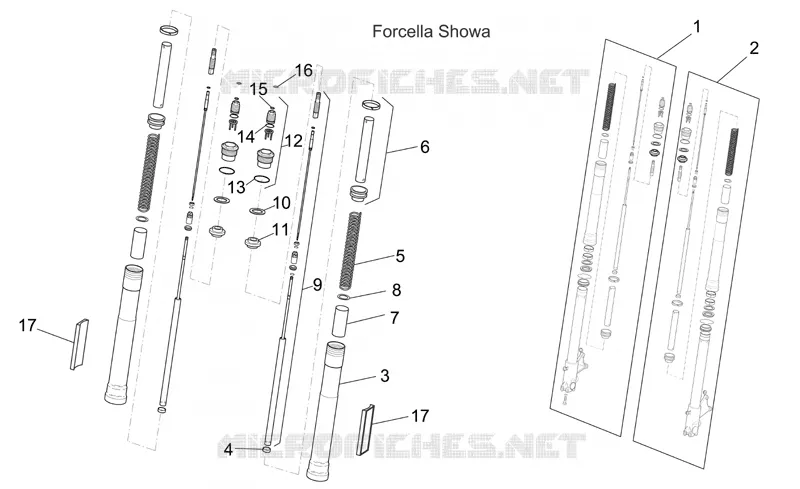 Forcella anteriore