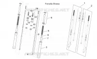 Forcella anteriore