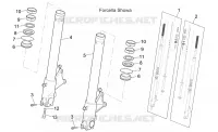 Forcella anteriore