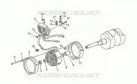 Alternatore - Regolatore