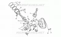 Albero motore