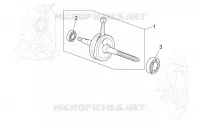 Albero motore