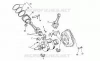 Albero motore