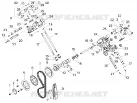 Distribuzione