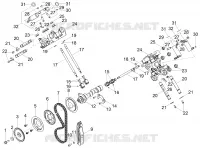 Distribuzione
