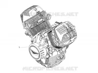 MOTORE - PEDALE CAMBIO - PIGNONE