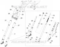 Forcella anteriore Sachs
