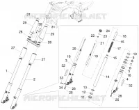 Forcella anteriore Sachs