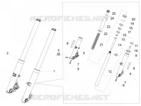 Forcella anteriore Kaifa